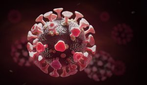 Covid Virus